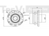TREVI AUTOMOTIVE WB1036 rato guolio komplektas 
 Ašies montavimas/vairavimo mechanizmas/ratai -> Rato stebulė/montavimas -> Rato guolis
50707555
